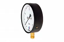 ТМ-610Р.00(0-25)MPa.M20х1,5.1,0 УТ000019110