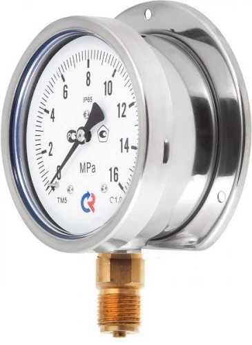 ТМ-520РКТ.00(0-25)MPa.G1/2".1,0 Зад. Фланец  ГЛИЦЕРИН УТ000015508