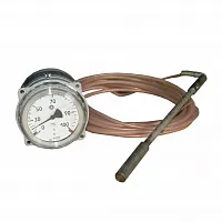 ТГП-100Эк-М1-(0...+200)°С-1,0-4-200 УТ-00000091